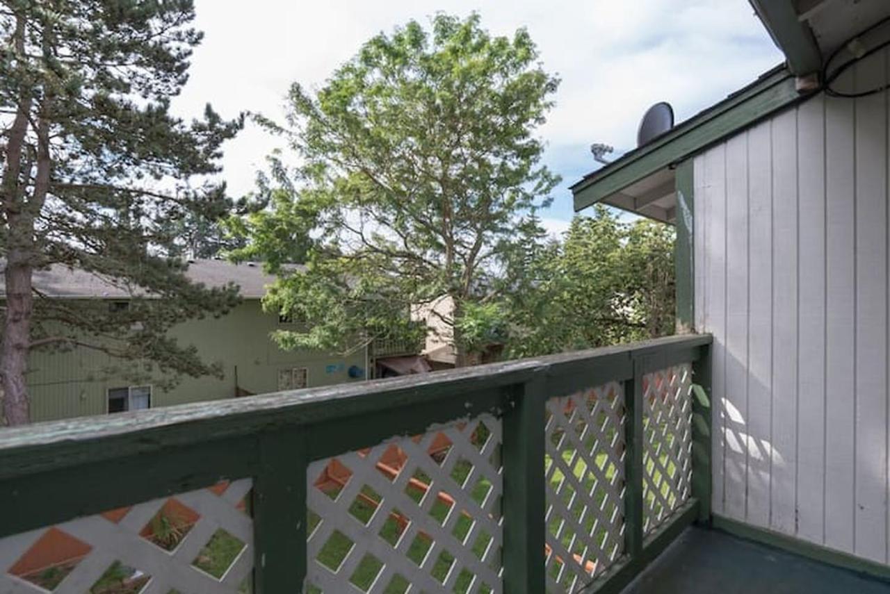 Contemporary, Marine 2Bd/1Ba Apartment C In Kent Eksteriør billede